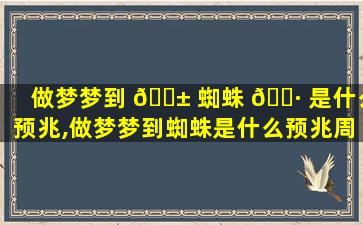 做梦梦到 🐱 蜘蛛 🌷 是什么预兆,做梦梦到蜘蛛是什么预兆周公解梦